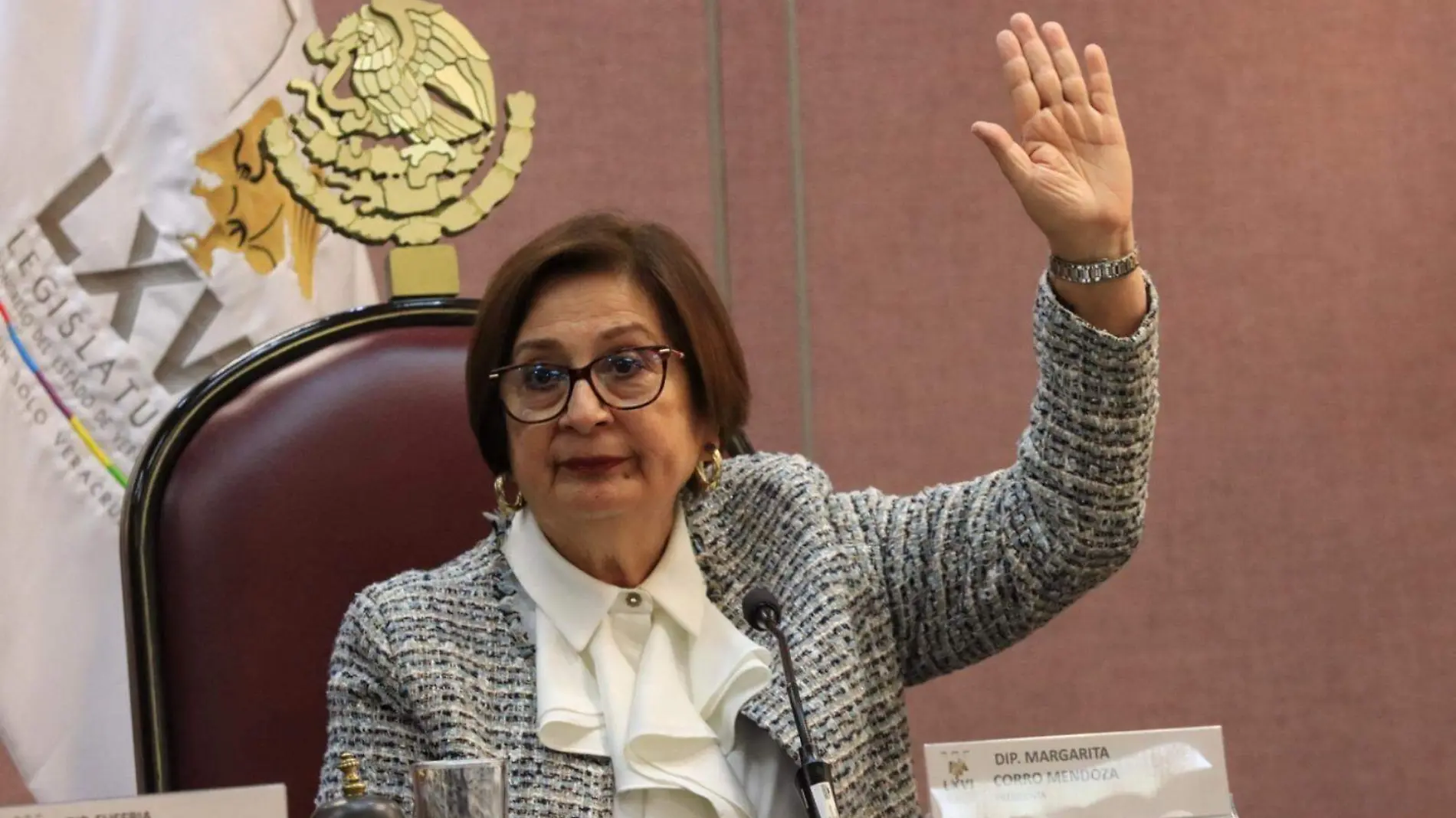 Diputada Margarita Corro Mendoza